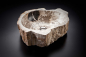 Preview: Cipi Stone Tree Aufsatzwaschbecken aus versteinertem Holz