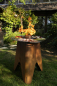 Preview: Globe fire Gartengrill Osorno Pelletgrill Pelletofen Outdoor-Ofen Cortenstahl