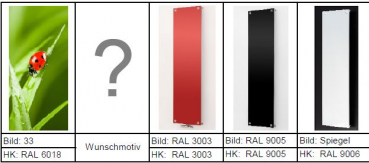 Eucotherm Mars Plus Picture Bildheizkörper Raumheizkörper Designheizkörper