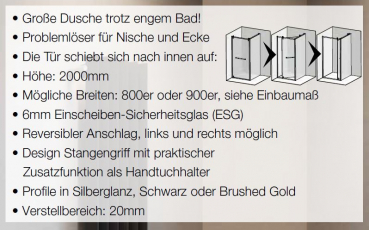 GEO S6 Schwenk-Schiebetür für Nische Silberglanz, Schwarz oder Brushed Gold