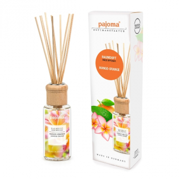 Raumduft Diffuser Mango-Orange 4 x 100 ml mit 10 Rattanstäbchen exklusiver Duft