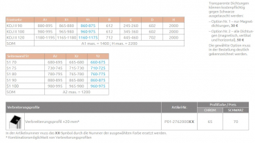 Radaway Arta 6 KDJ II Pendeltür an Fixteil mit Seitenwand 6mm
