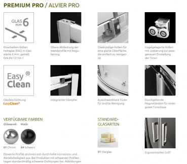 Radaway Premium Pro Schiebetür für Dusch-Nische Duschabtrennung PUK Alvier Pro