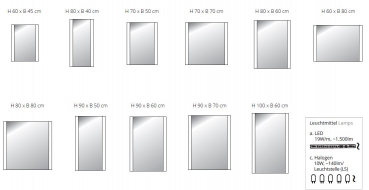 Top Light Spiegel BrightLight Leuchtspiegel in vielen Größen mit LED-, Halogen- oder Leuchtstofflampen