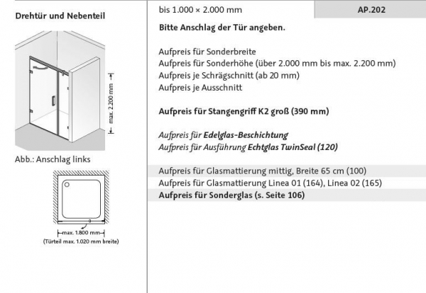 HSK Atelier Plan Pur Drehtür Schwenktür Nische Nischentür an Seitenteil Duschabtrennung inkl. Aufmaß