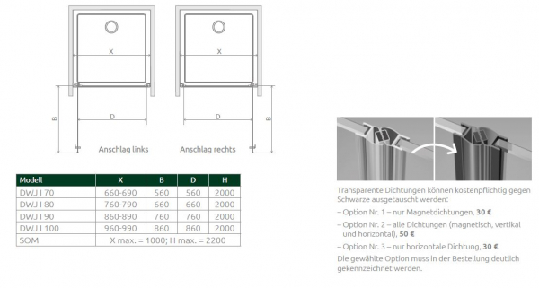 Radaway Nes DWJ I Duschtür für Nische Duschabtrennung Pendeltür PUK Oder