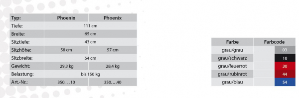 Rebotec Phoenix Multifunktions-Dusch- und Pflegerollstuhl