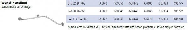 Rehagrip Wand-Handlauf 3 Haltegriff Stützgriff CNS